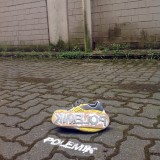 Polemik Schuh